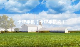 卡牌手机（卡牌手机壳）