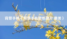 背景手机（背景手机壁纸图片 唯美）