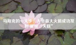 马斯克的一大步：人类最大火箭成功发射 星舰“失联”