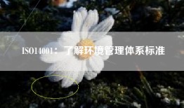 ISO14001：了解环境管理体系标准