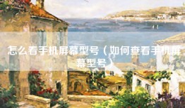怎么看手机屏幕型号（如何查看手机屏幕型号）