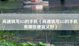 高通骁龙855的手机（高通骁龙855的手机有哪些便宜又好）