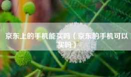 京东上的手机能买吗（京东的手机可以买吗）