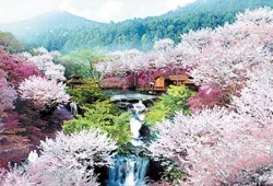 武汉到桂林旅行团 武汉到桂林旅行社报价 桂林超值特价五日游