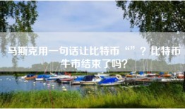 马斯克用一句话让比特币“”？比特币牛市结束了吗？