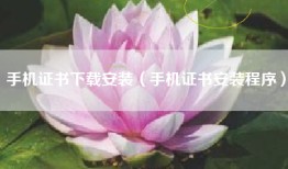 手机证书下载安装（手机证书安装程序）