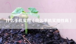 什么手机实用（什么手机实用性高）