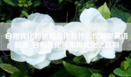 白帽优化和黑帽优化有什么区别呢英语翻译_白帽优化与黑帽优化之区别