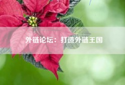 外链论坛：打造外链王国